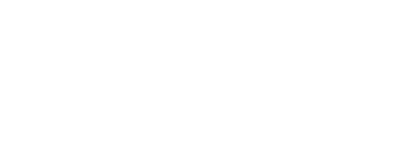 SOUEAST S07 Logo